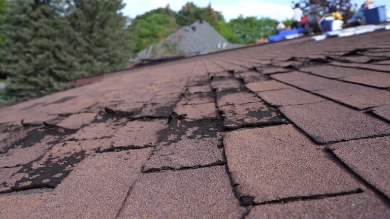 Best Cold Roofs  in Blue Hills, CT