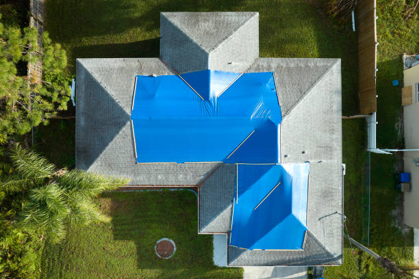 Best Asphalt Shingles Roofing  in Blue Hills, CT