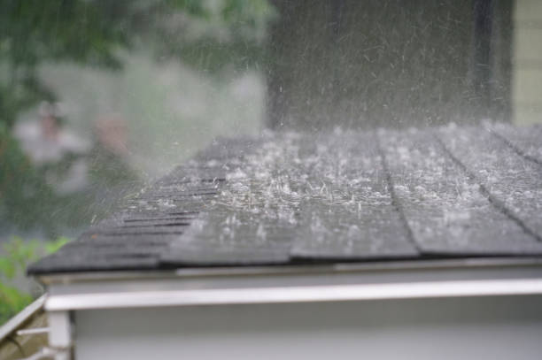 Best Sheet Metal Roofing  in Blue Hills, CT